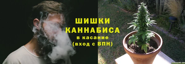 соль ск Заводоуковск