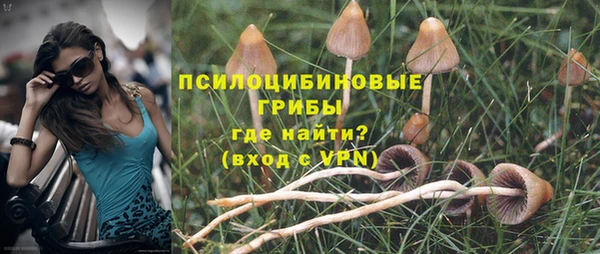 соль ск Заводоуковск