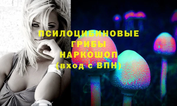соль ск Заводоуковск