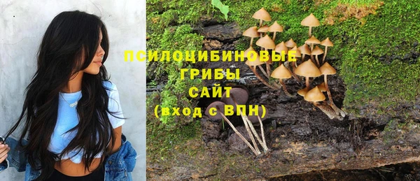 соль ск Заводоуковск