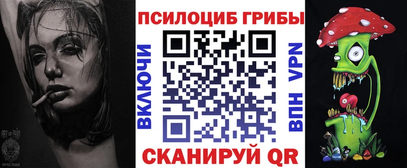 Купить  Зеленокумск  Псилоцибиновые грибы мицелий 