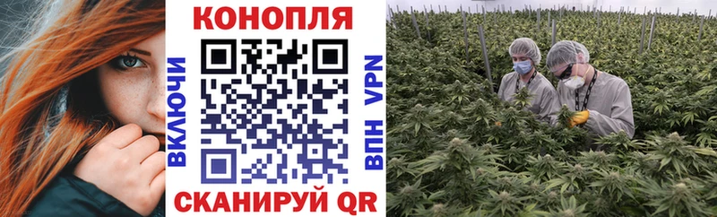 Канабис планчик  Купить  Зеленокумск 